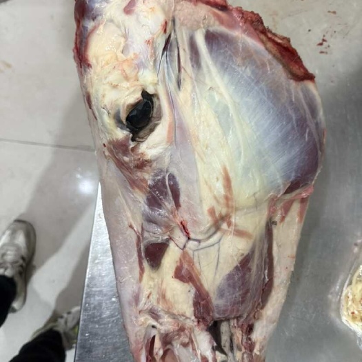 石家庄扒皮驴头 小口去皮头