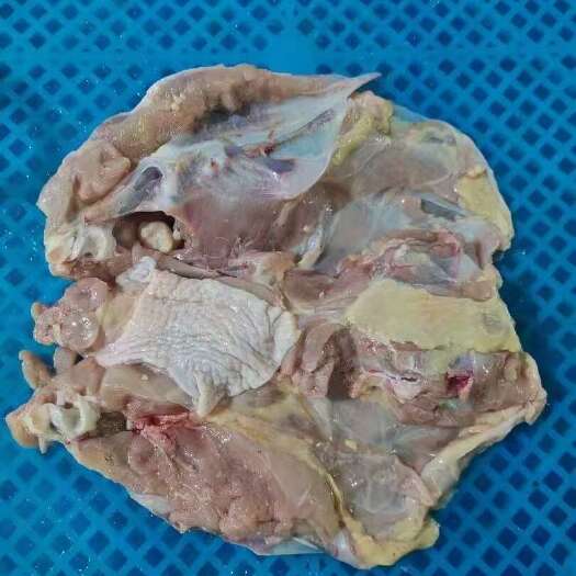 滨州开胸鸡架/铁板鸡架