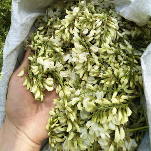 巴中小时候零嘴，槐花上市了！！持续采摘中