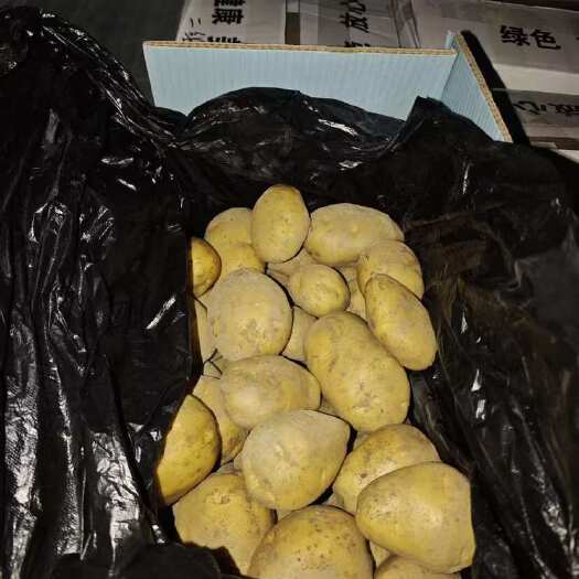 广东黄心土豆