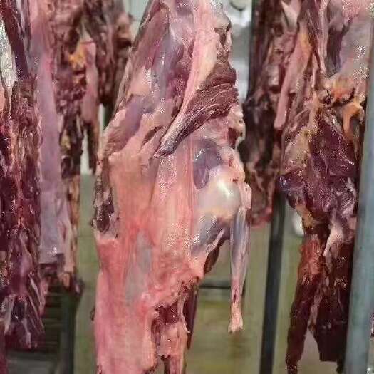 郑州冷鲜驴肉 批发零售