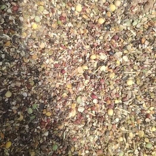 秦皇岛红小豆下料