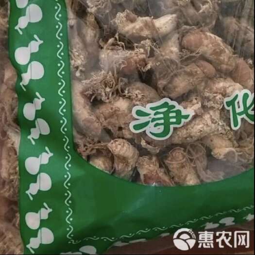 安国市金蝉花正品保障一斤起批包邮到家