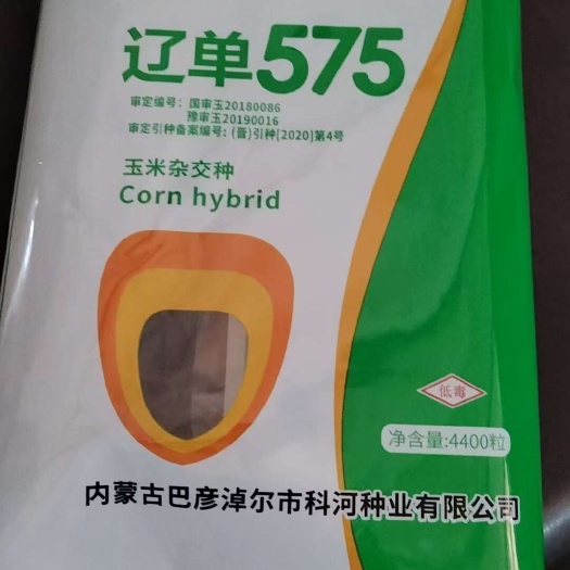 邯郸国审大穗辽单575