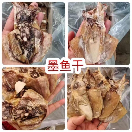 墨鱼干 地摊电商批发大乌贼干货墨鱼干水产干货目鱼干干鱼
