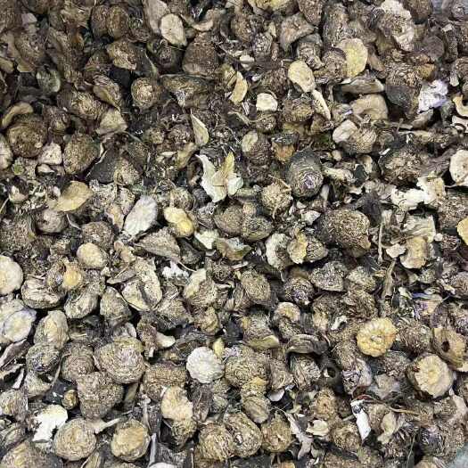 昆明玛咖投料