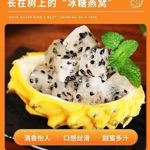 海口海南燕窝果
