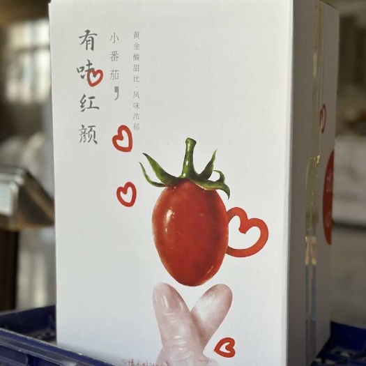 山东烟台有味红颜玲珑小番茄3斤盐碱沙地脆甜