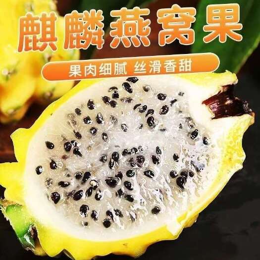 海口燕窝果一件代发