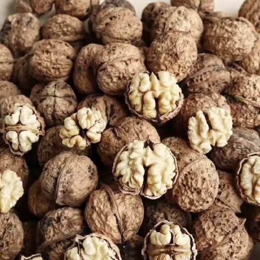 洱源县云南大理洱源薄皮核桃，干果坚果批发零售