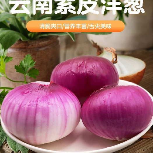 云南高山紫皮洋葱一件代发（店管家对接所有平台）