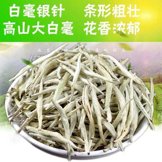 景谷县云南大白毫普洱绿茶白毫银针大芽头单芽耐泡茶汤清澈甘甜现货批发