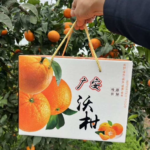 广安沃柑