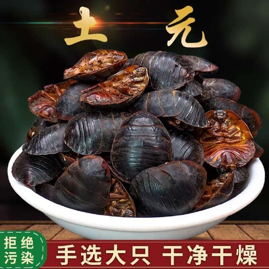 玉林土元中药材正品500g土元粉中华土鳖虫中药材土鳖虫粉地鳖虫地