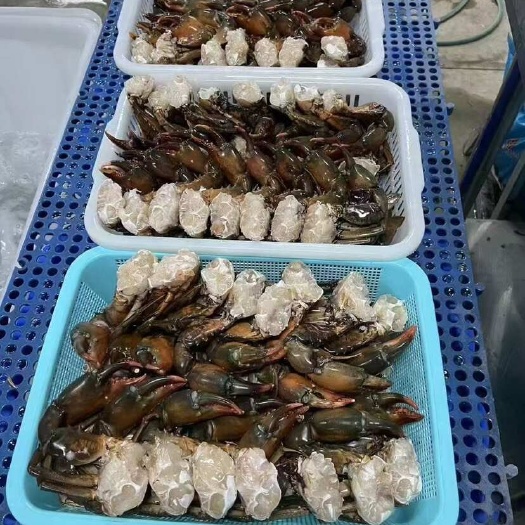 青蟹块肉质饱满新切青蟹排去壳冷冻酒店宴席夜宵大排档香辣避风塘
