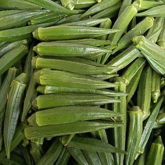 新平县黄秋葵