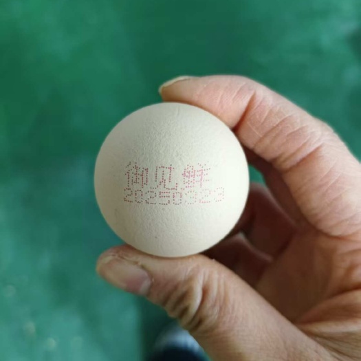 武陟县御见鲜新鲜富硒鸡蛋产地直发优质蛋品