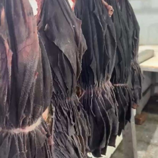 广州牛百叶