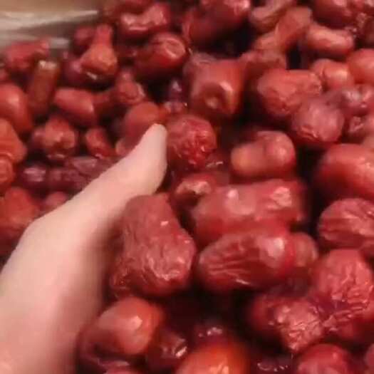郑州和田大枣皮枣骏枣