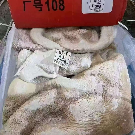 郑州国产108牛大肚纯干货，无加工，卤煮出成高