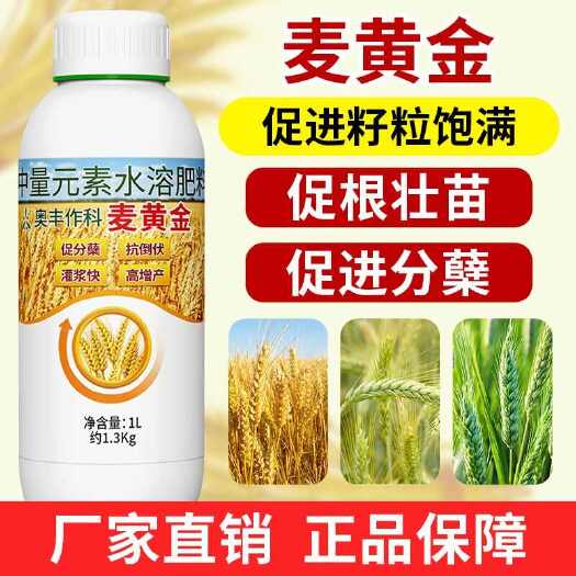 潍坊奥丰麦黄金叶面肥 麦稻饱抗倒伏促分蘖籽料饱满叶面肥