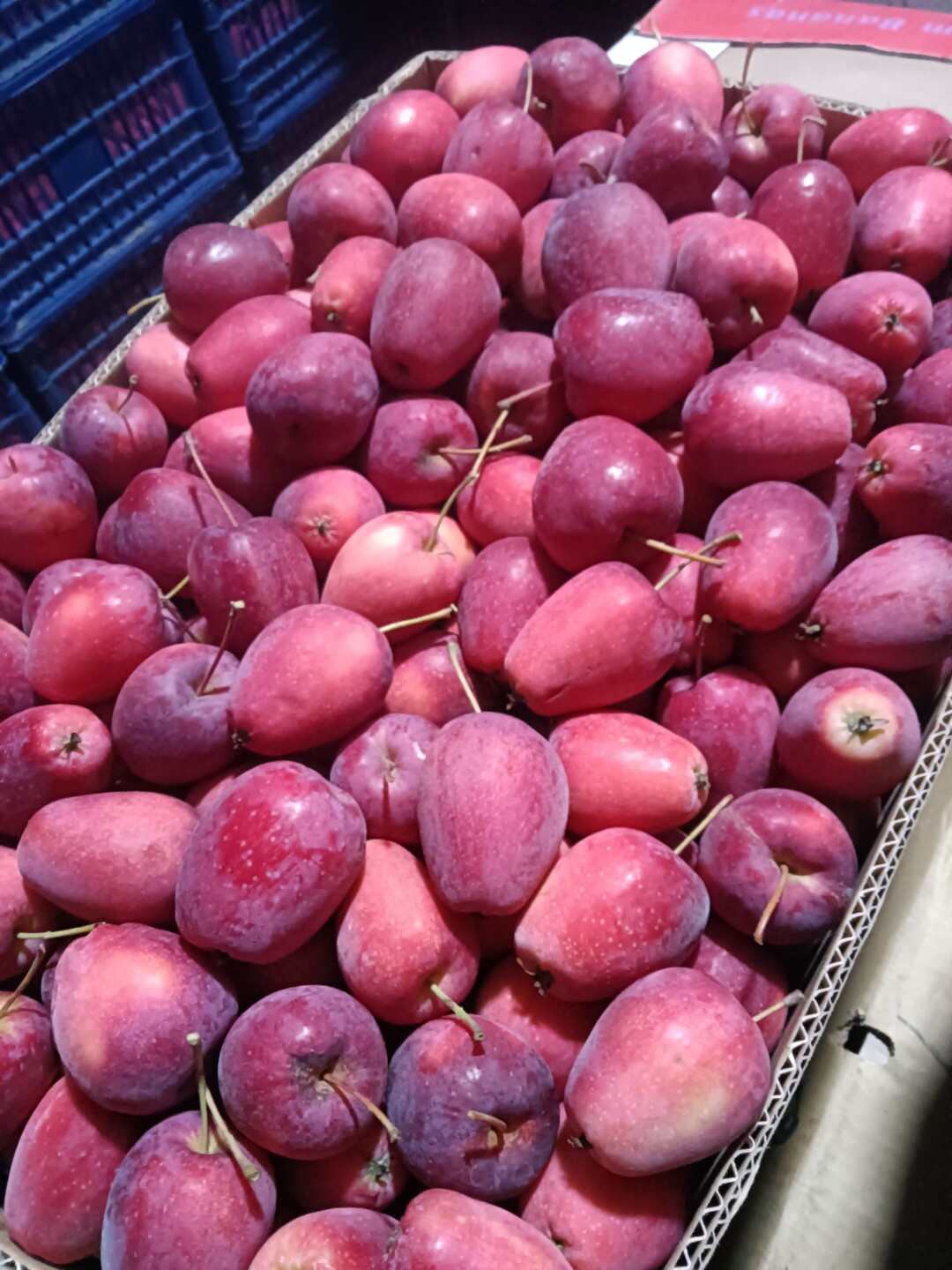 锦绣海棠果 精品鸡心果，口感甜脆清香，一手货源，质量保证。