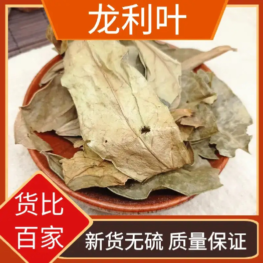 玉林龙利叶 新货 干货 包邮 精选 无硫 质量保证