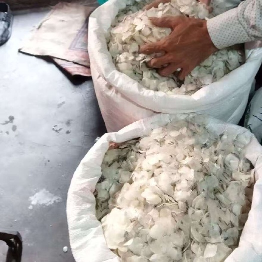泉州鱼鳞，量大，质优。欢迎咨询合作。