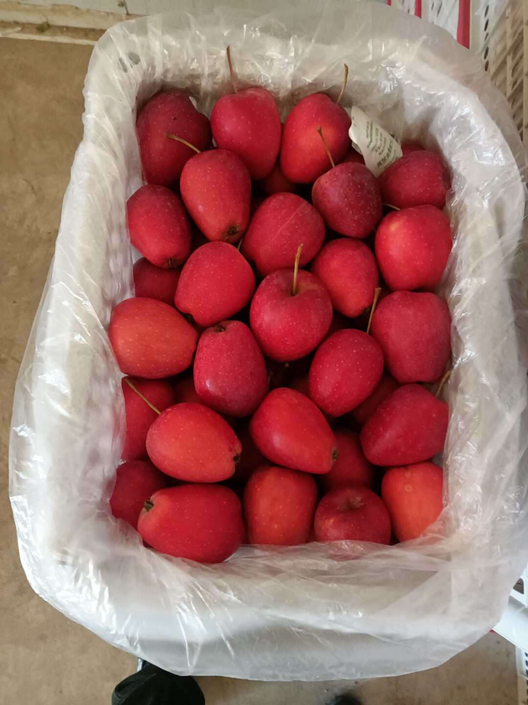 锦绣海棠果 精品鸡心果，口感甜脆清香，一手货源，质量保证。