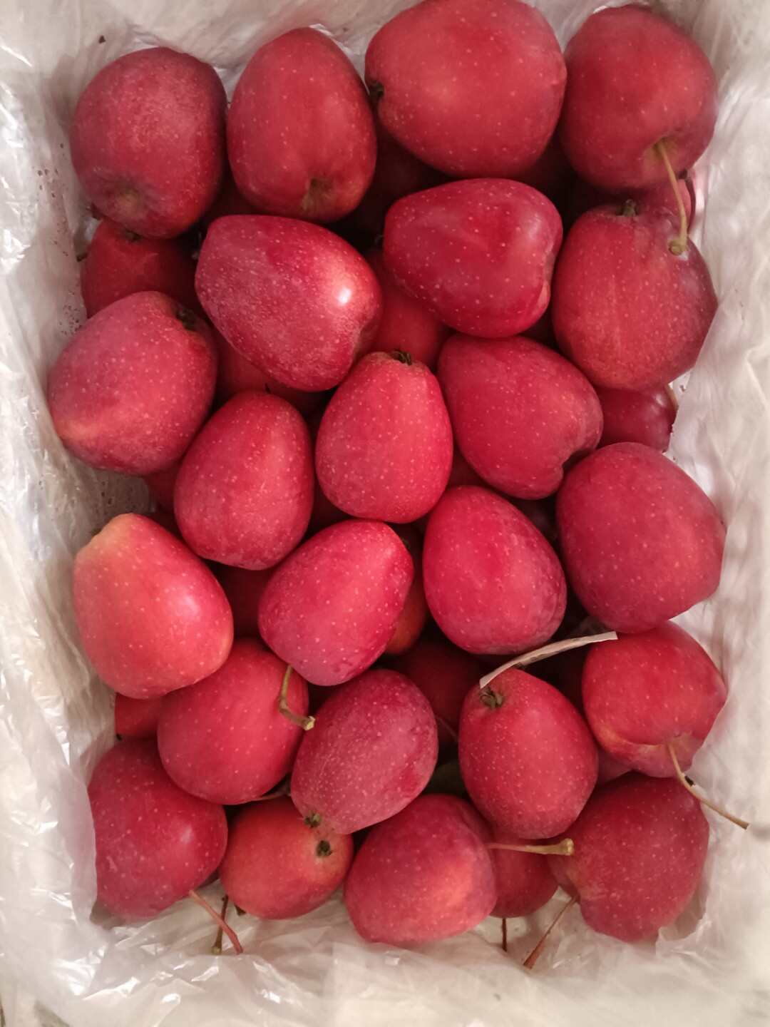 锦绣海棠果 精品鸡心果，口感甜脆清香，一手货源，质量保证。