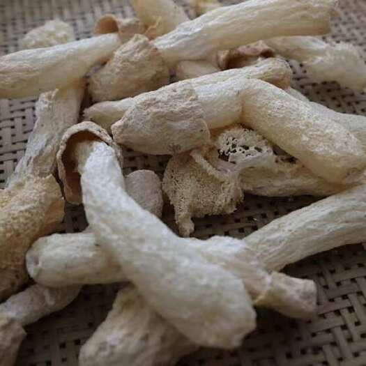 广元竹荪批发