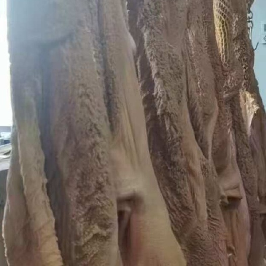 呼和浩特黄毛肚  黄牛毛肚