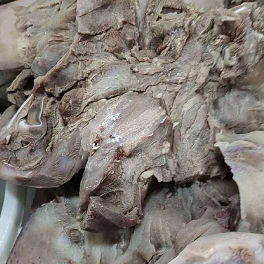 佛山熟牛头肉，飞水，干净，出成高