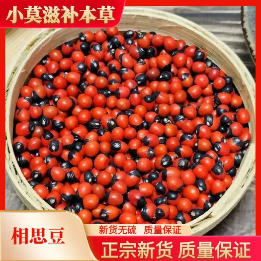 亳州相思豆 颗粒饱满 新货无硫 质量保证 快递包邮