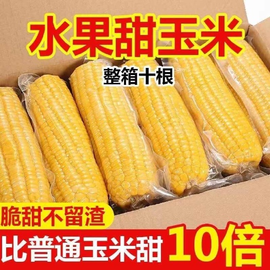 南宁水果玉米开袋即食新鲜甜玉米减脂期代餐免煮真空包装早餐零食包邮