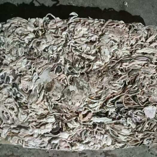 鸭黑肠子，喂鱼好产品，纯干货。库存大，发货快。支持验货。