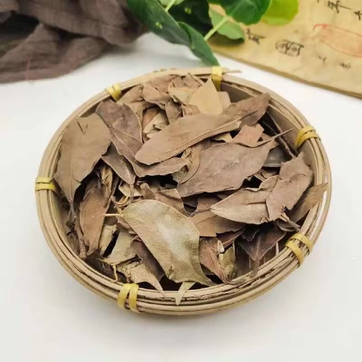 玉林榕树叶 精选干叶子 包邮