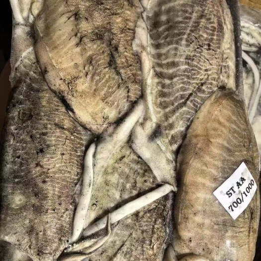 北海墨鱼500/700    700/1000