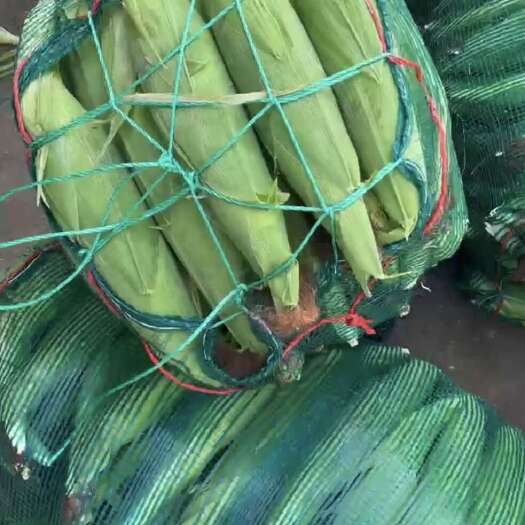 南宁批量发物流