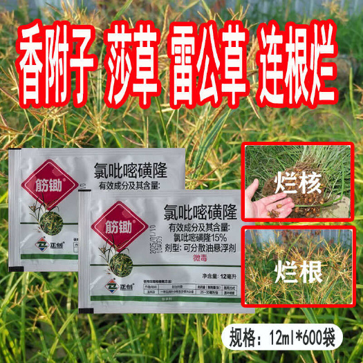 昌乐县正创氯吡嘧磺隆水稻玉米小麦甘蔗高粱番茄香附子阔叶草除草剂