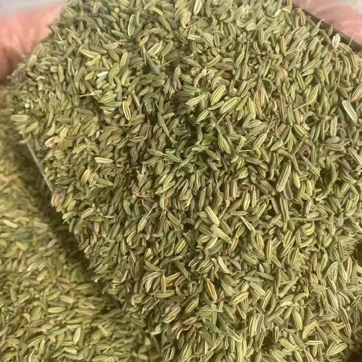 甘肃国产绿小茴香，过色选，过去石，过风机，过火选，过强磁