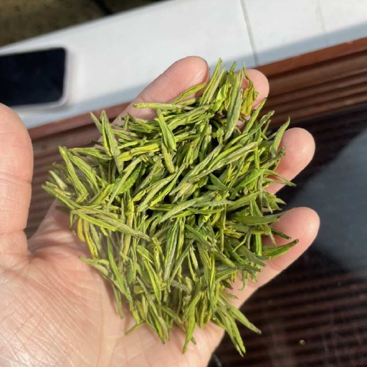 松阳县金镶玉它是属于白化绿茶，跟安吉白茶有些类似的，但它的颜色是白