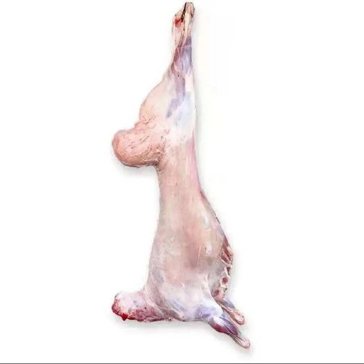 阿图什市新疆南疆羊肉 在盐碱地散养 味道超好吃 零销批发为主 新鲜货