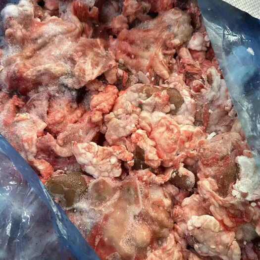 青岛落地饲料牛碎肉边角料
