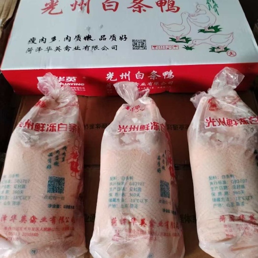 单县华英白条鸭，2斤-6斤