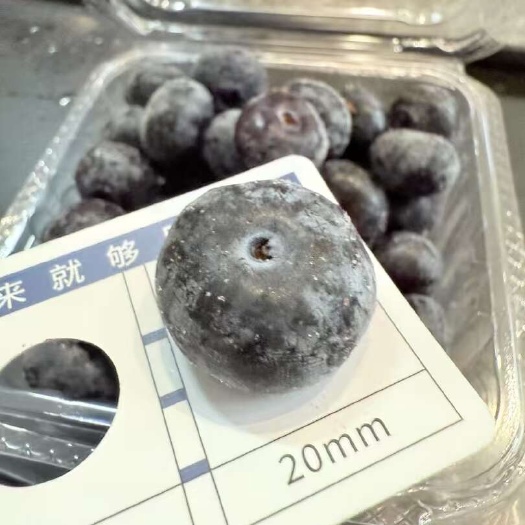 中牟县东北冻梨