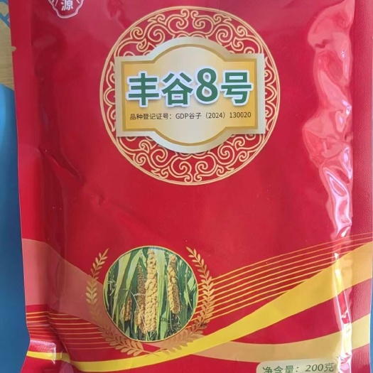 丰谷8号，紧码大穗，一类米质