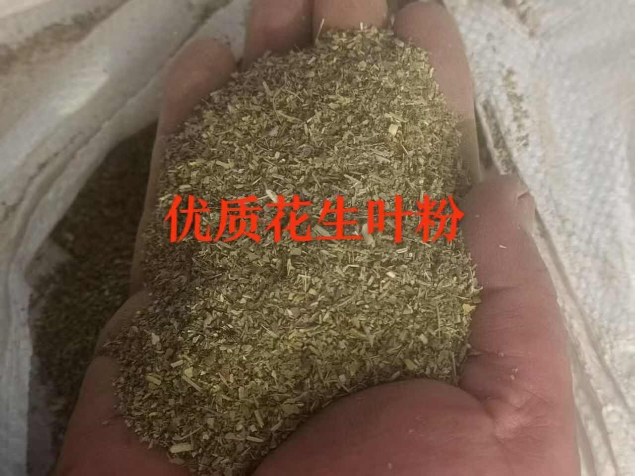 花生叶粉