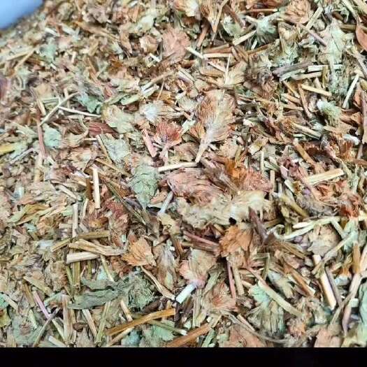 玉林夏枯草