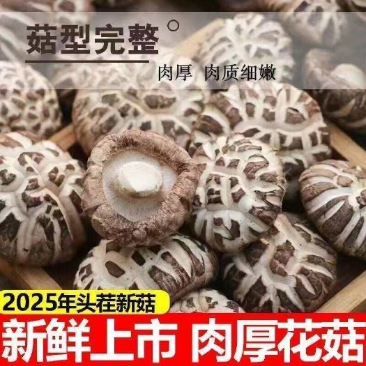 鲁山县不怕对比 产地一手货 精选花菇肉厚无根金钱菇香菇干货冬菇批发